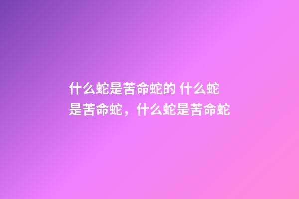 什么蛇是苦命蛇的 什么蛇是苦命蛇，什么蛇是苦命蛇-第1张-观点-玄机派